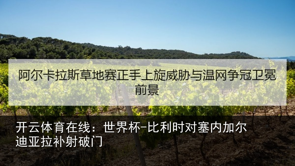开云体育在线：世界杯-比利时对塞内加尔迪亚拉补射破门